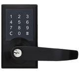 Carbine CDL2 Digital Leverset