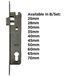 Euro Mortice Lock suit Lockton E-Series Smart Lock